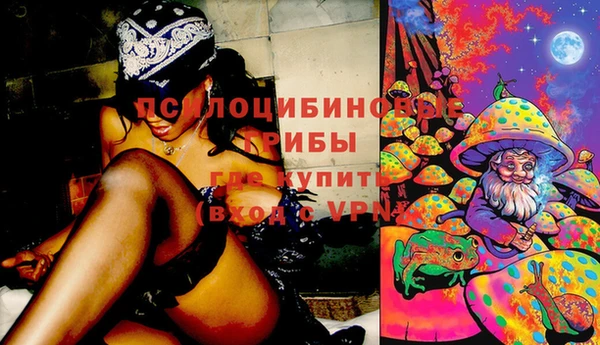 ешки Алексеевка