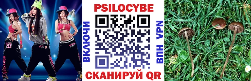 купить наркотики цена  Заводоуковск  Галлюциногенные грибы Magic Shrooms 