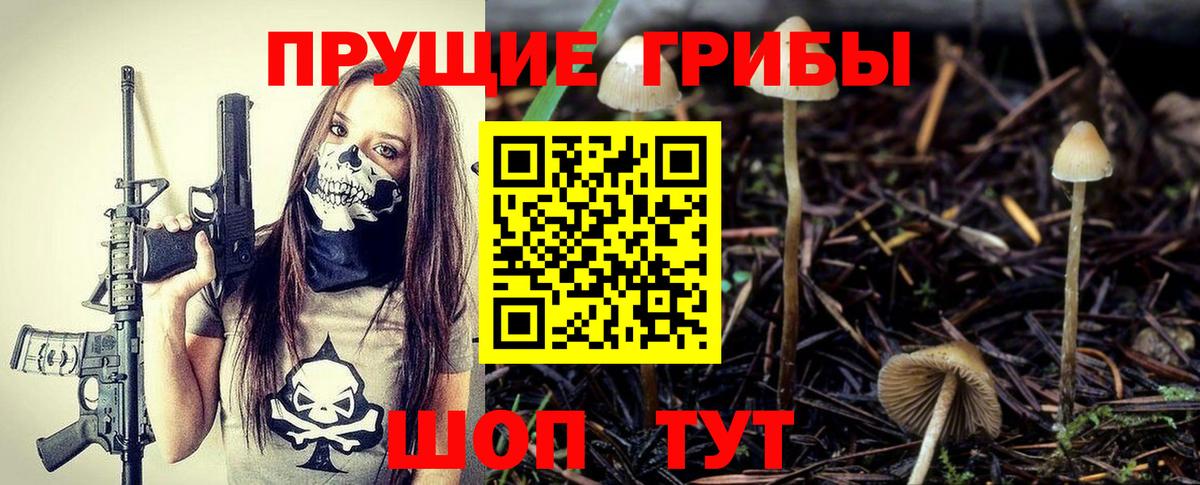 Галлюциногенные грибы мухоморы Заводоуковск