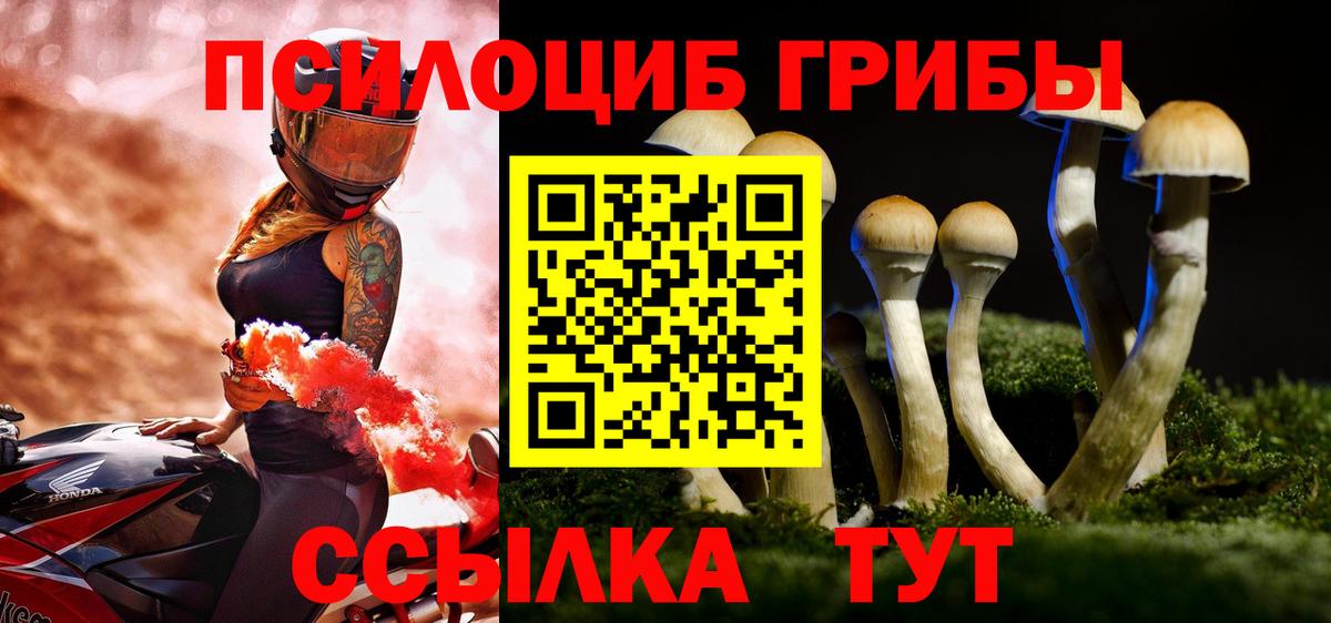 Псилоцибиновые грибы прущие грибы  Вход с VPN  Заводоуковск 