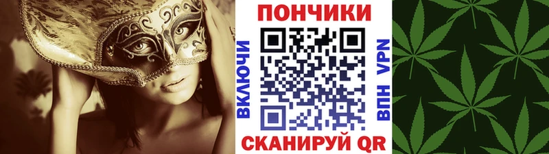 Бошки марихуана THC 21%  Заводоуковск 